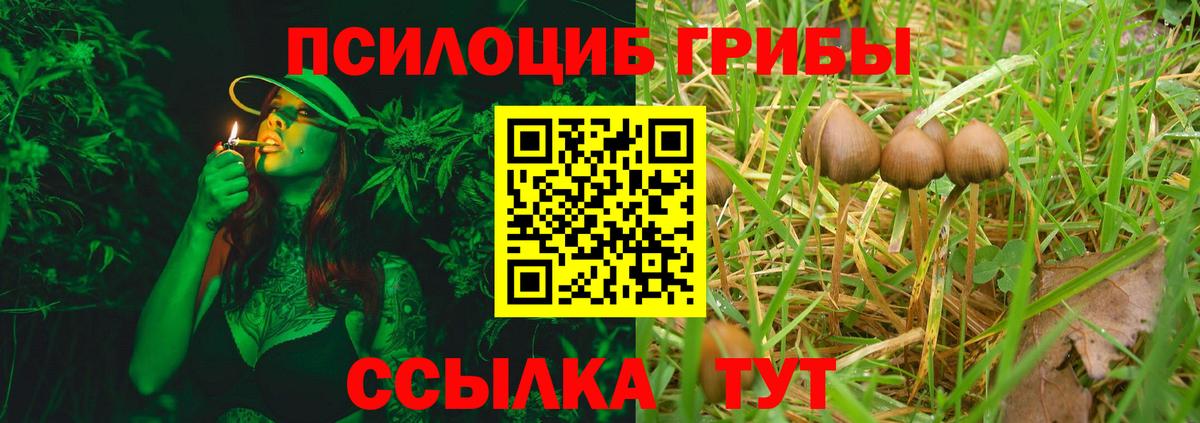 цена   Галлюциногенные грибы GOLDEN TEACHER  Вход с VPN  Сафоново 